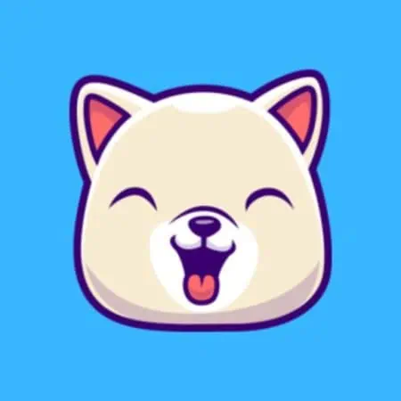 Kishu Inu Cryptocurrency Overview