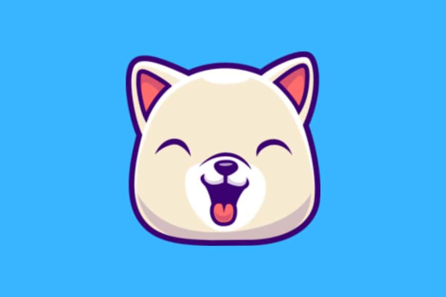 kishu inu cryptocurrency