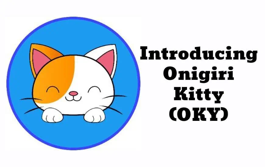 Introducing Onigiri Kitty 