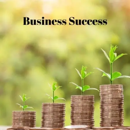 Definition of Business Success
