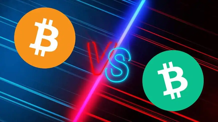 Bitcoin vs Bitcoin Cash big