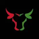 team bull logo